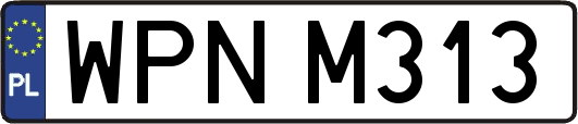 WPNM313