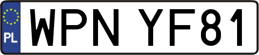 WPNYF81