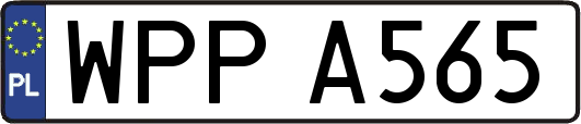 WPPA565