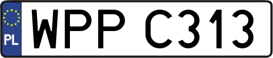 WPPC313