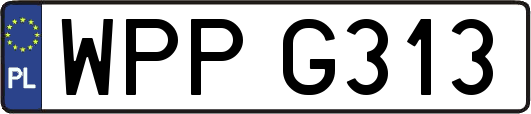 WPPG313