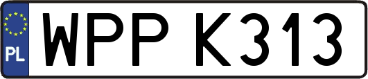 WPPK313