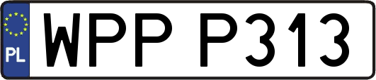WPPP313