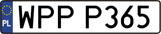 WPPP365