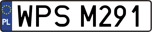 WPSM291