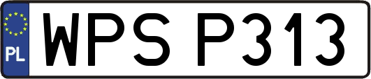 WPSP313