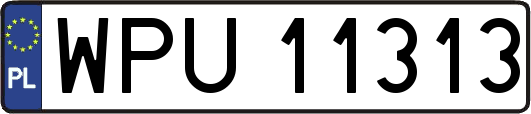 WPU11313