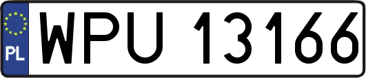 WPU13166