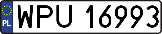 WPU16993