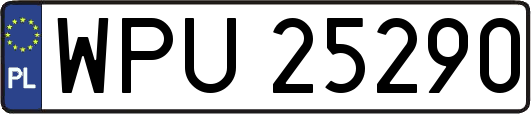 WPU25290