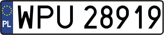 WPU28919