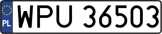 WPU36503