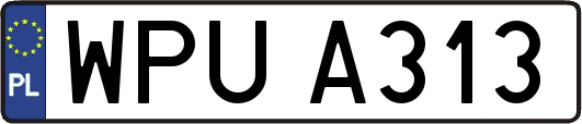 WPUA313