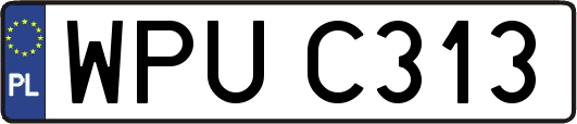 WPUC313