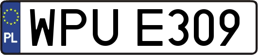WPUE309
