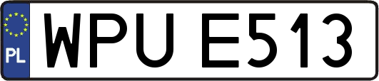 WPUE513
