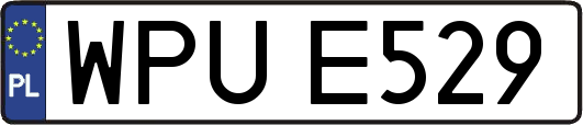 WPUE529