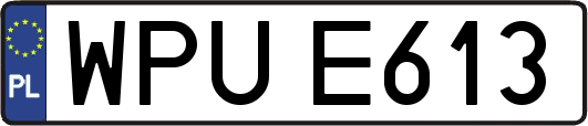 WPUE613