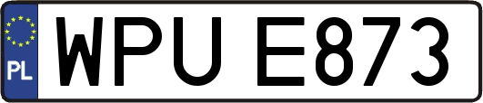WPUE873