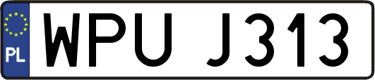 WPUJ313