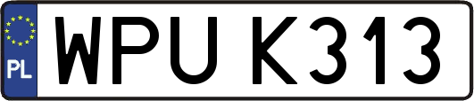 WPUK313