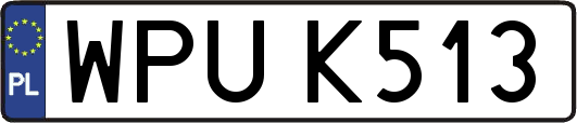 WPUK513