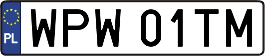 WPW01TM