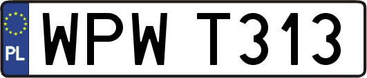 WPWT313