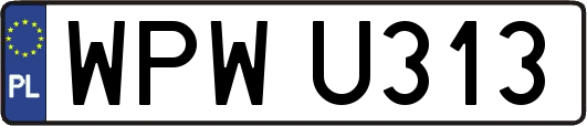 WPWU313
