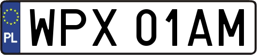 WPX01AM