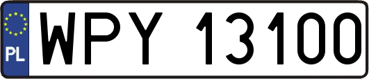 WPY13100