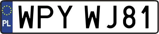 WPYWJ81