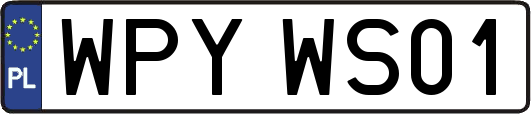 WPYWS01