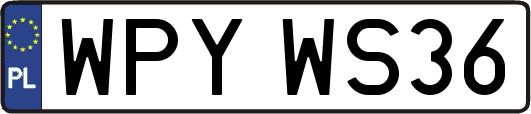 WPYWS36