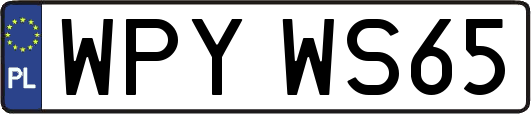 WPYWS65