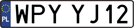 WPYYJ12