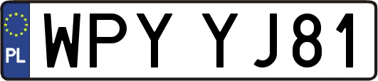WPYYJ81