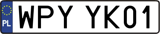 WPYYK01