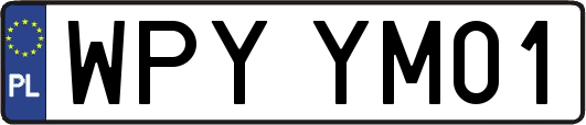 WPYYM01