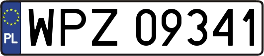 WPZ09341