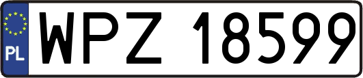 WPZ18599