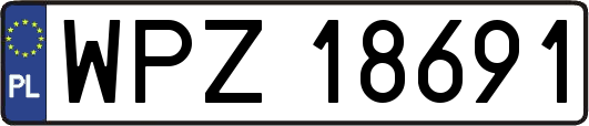 WPZ18691