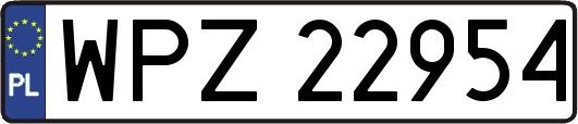 WPZ22954