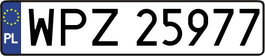 WPZ25977