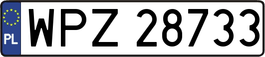WPZ28733