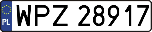 WPZ28917