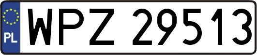 WPZ29513