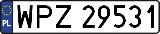 WPZ29531