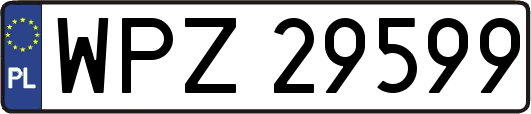 WPZ29599