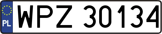WPZ30134